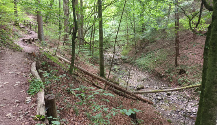 FOTOGALERIE: Indiánská hospoda, skalní brána, Zkamenělý zámek, Javoříčské jeskyně