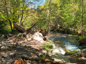 FOTOGALERIE: Bílá Opava