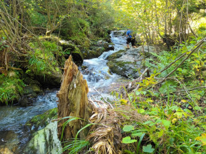 FOTOGALERIE: Bílá Opava