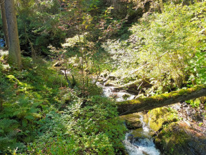 FOTOGALERIE: Bílá Opava