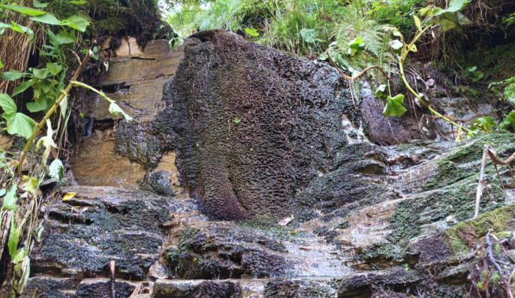 FOTOGALERIE: Bílá Opava