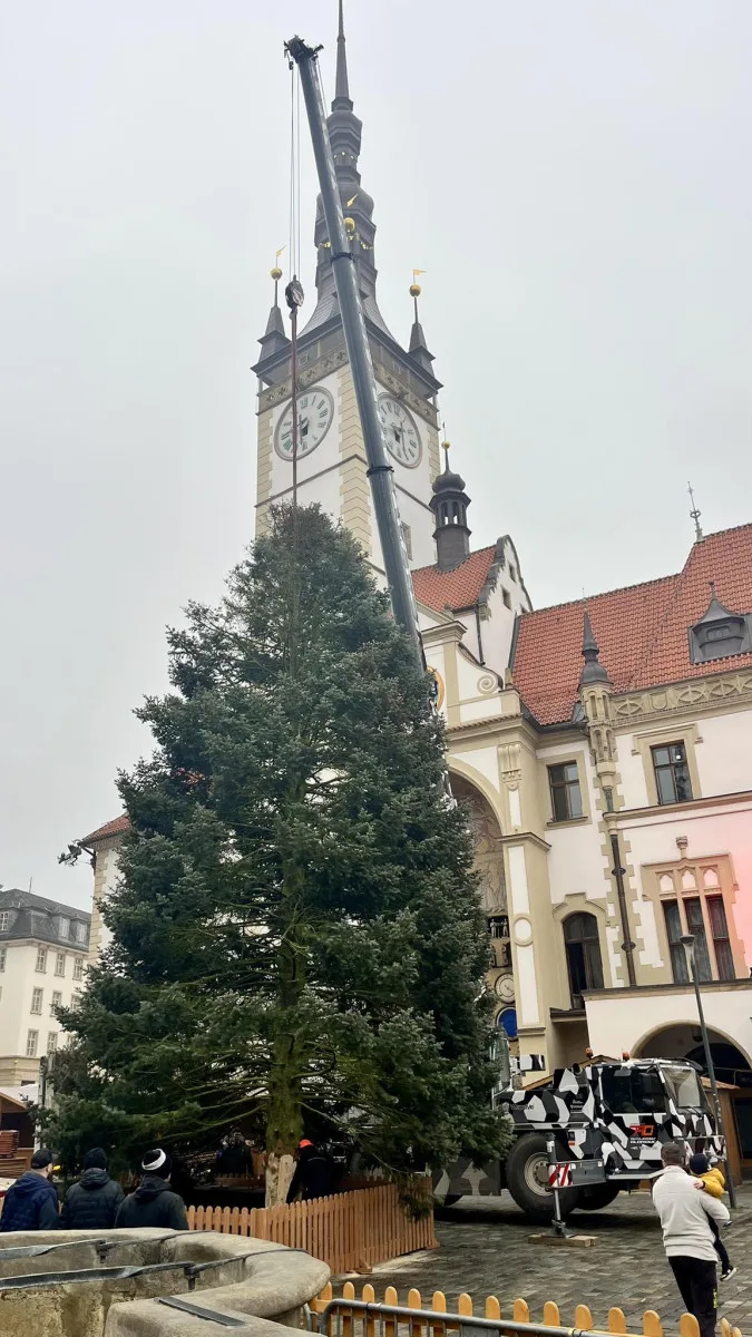 Rozsvícení vánočního stromu v Olomouci