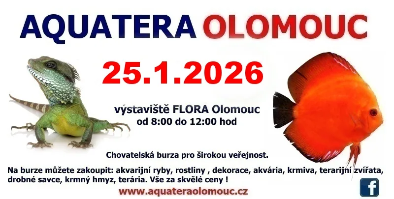 Aquatera Olomouc