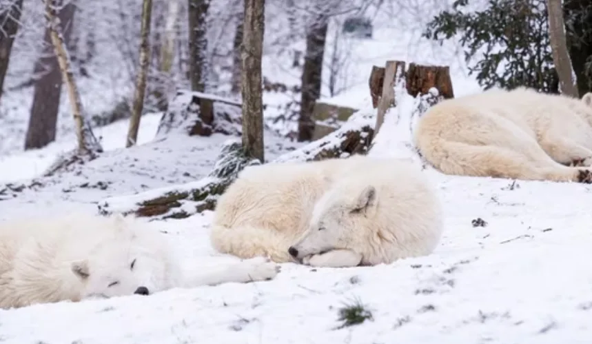 Zapojte se do každoroční Zooinventury!