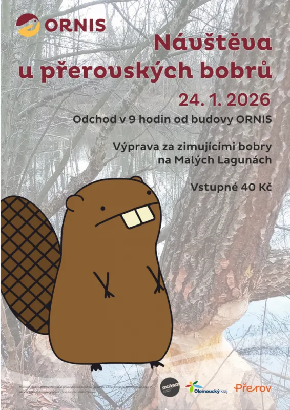 Návštěva u přerovských bobrů