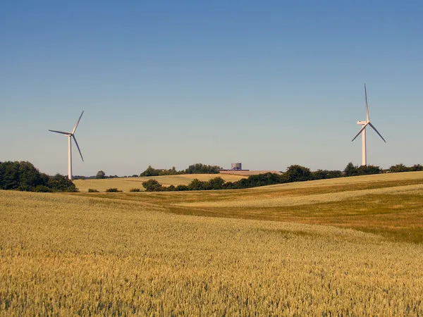 Mohou obnovitelné zdroje energie nahradit fosilní zdroje?