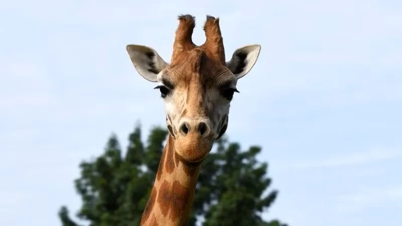 Velikonoční tradice a komentovaná krmení v areálu zoo