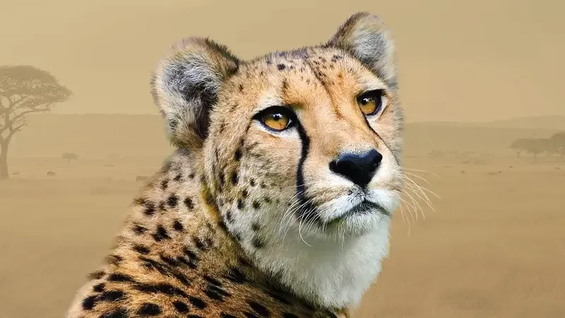 Komentovaná krmení v Zoo Olomouc