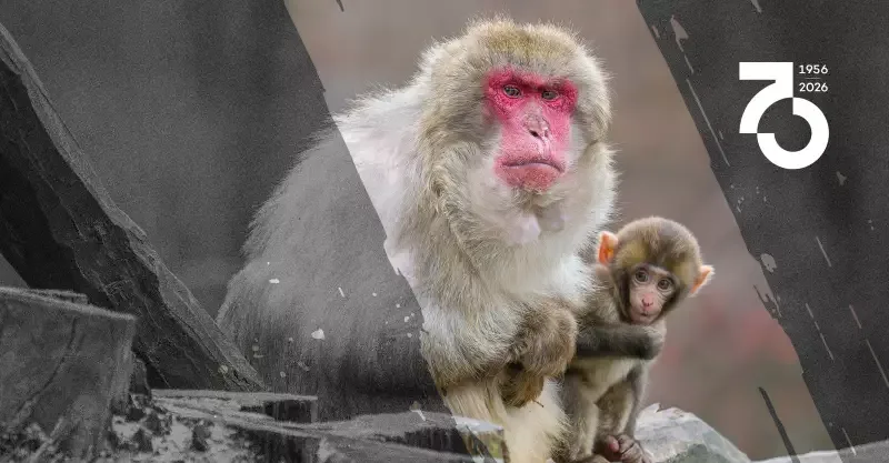 Oslavy 70. výročí založení Zoo Olomouc