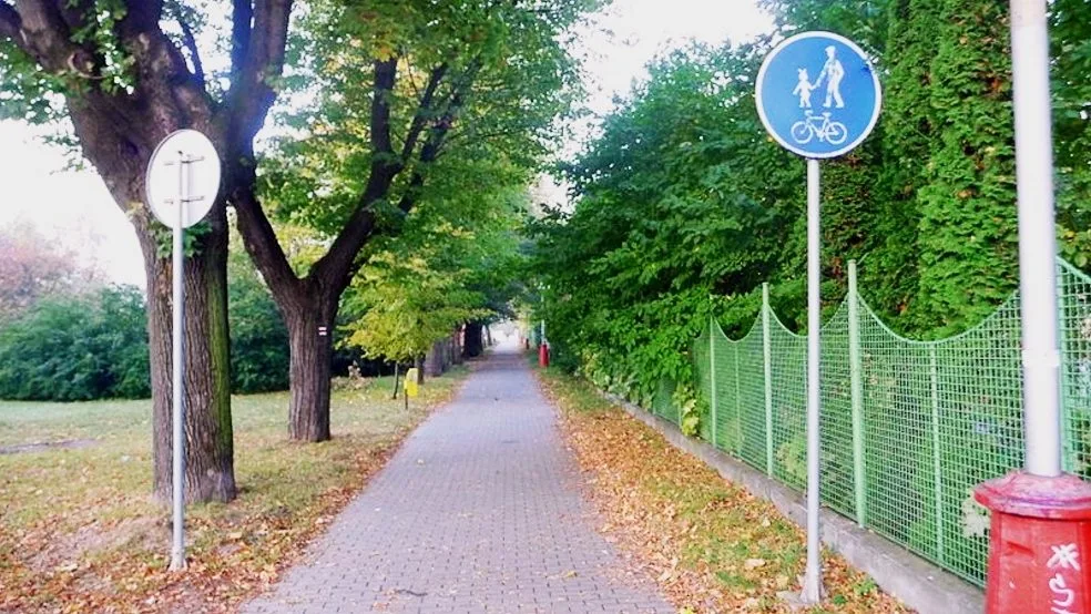 Cyklisté mají v Olomouci dobré zázemí. Ilustrační foto: archiv