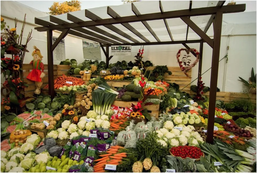 flora olomouc