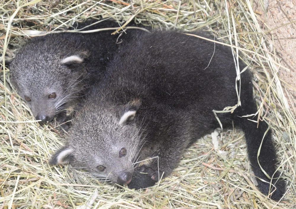 Zoo Olomouc