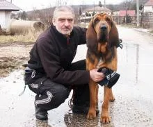 Pejsek Cassino a jeho pánzdroj: http://ibha.eu/nasi-psi
