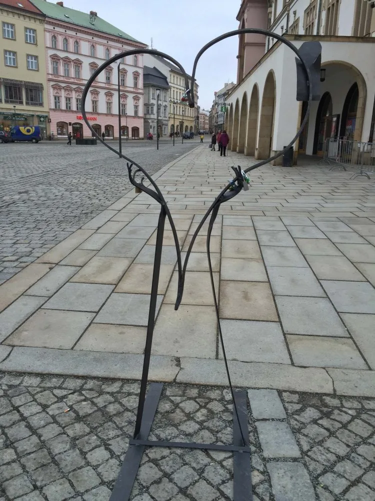 Foto: Elizabeth Žolcerová