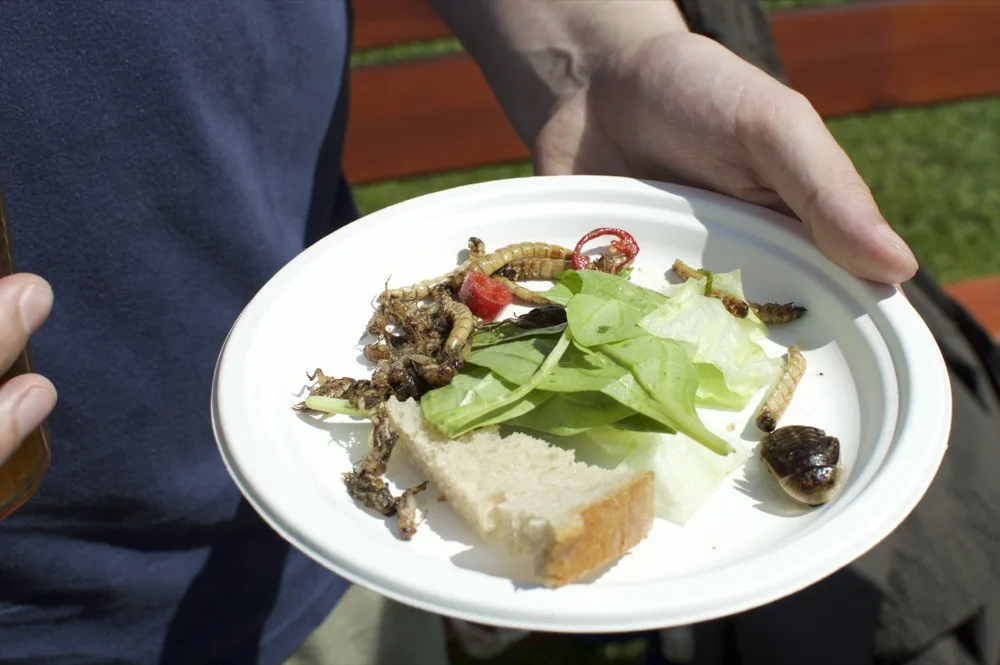 Garden Food Festival se podle organizátorů vydařil, bude se chystat další ročník