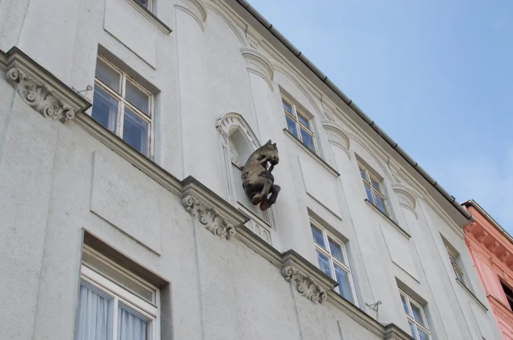 Oči vzhůru: Tajemství olomouckého černého koně