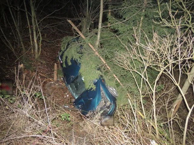 Řidička strhla řízení kvůli přebíhající zvěři, její auto se skutálelo ze strmého srázu