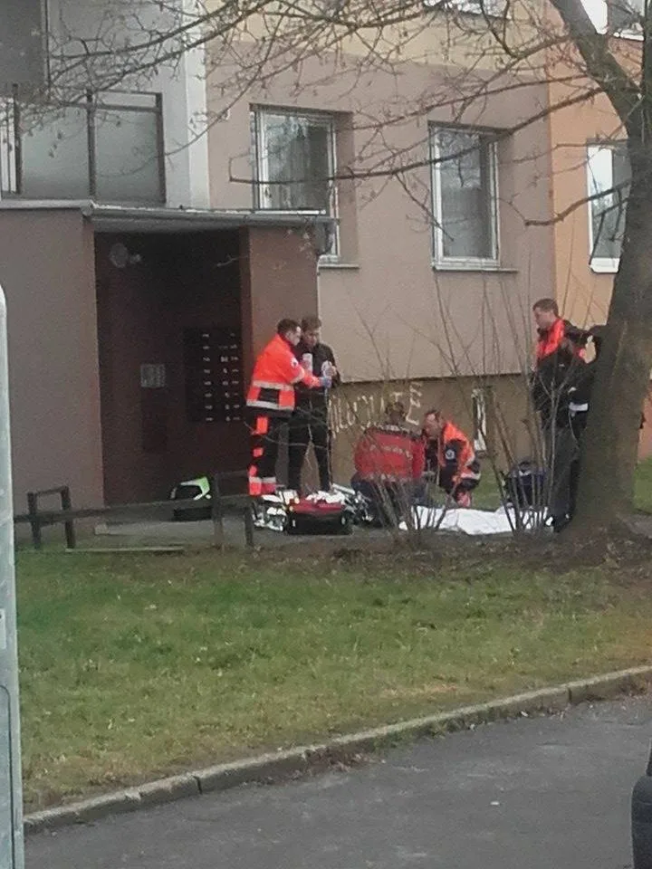 Pokus o záchranu