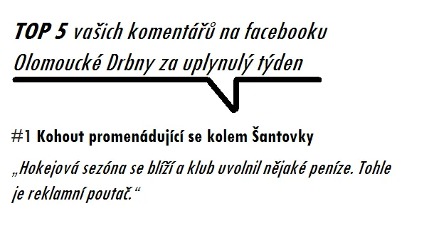 Kohout