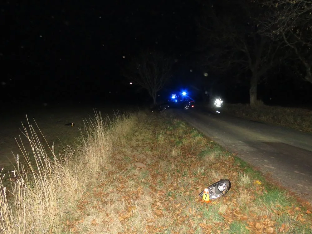Podnapilý řidič narazil se svým Porsche do stromu. Policistům řekl, že vypil dvě nealko piva