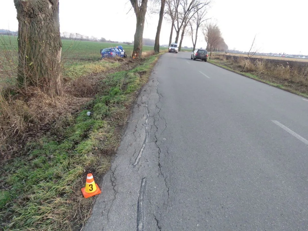 Řidič se na rovném úseku snažil vyhnout zajíci, se svým autem skončil ve stromě