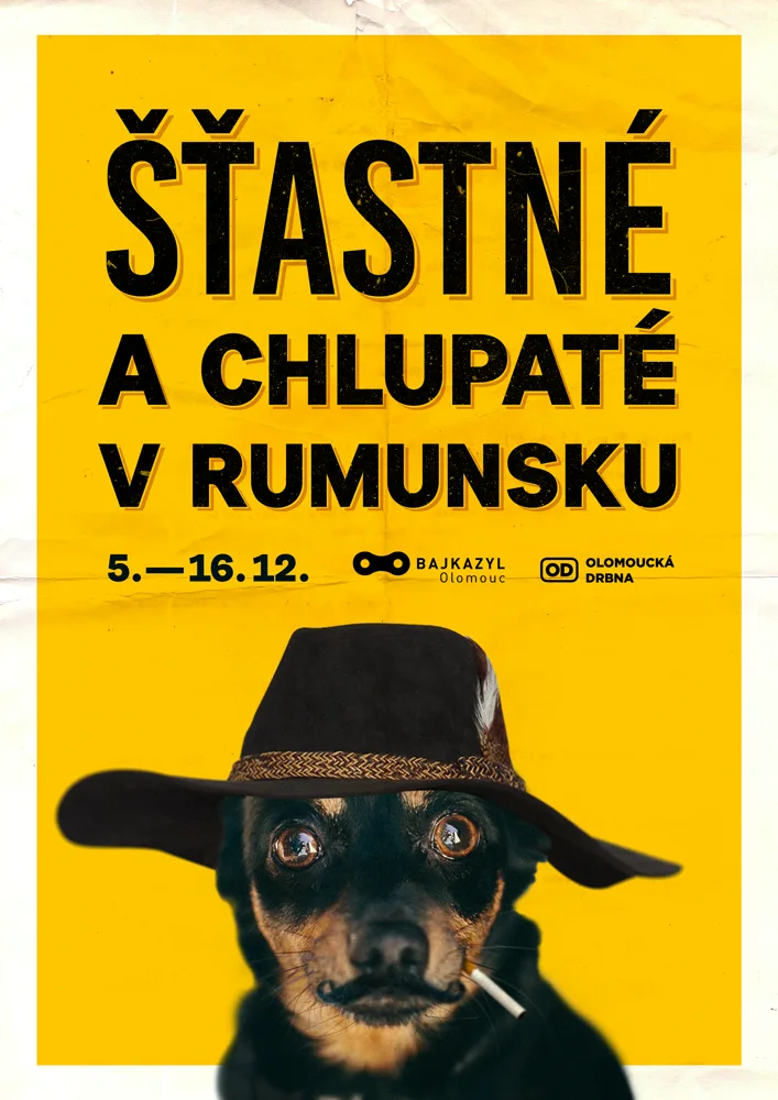 Šťastné a chlupaté – v Olomouci vznikla materiální sbírka na podporu toulavých psů v Rumunsku