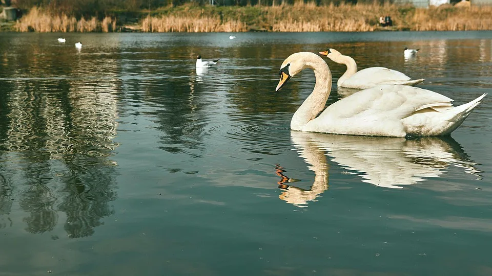 ilustrační foto