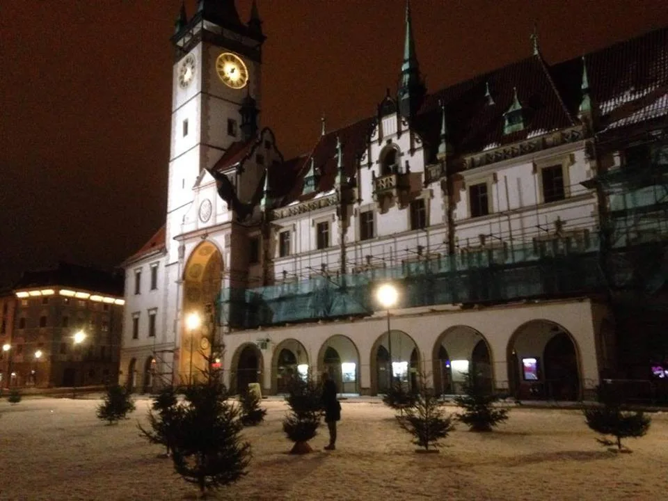 Olomoucké Horní náměstí zdobí les z použitých vánočních stromků