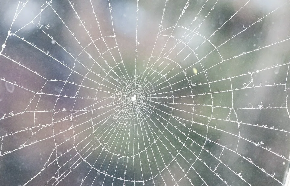 ilustrační fotografie