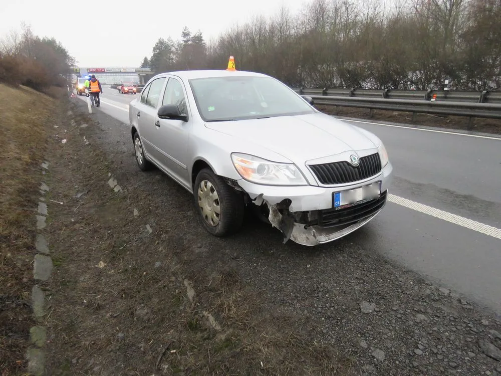Řidič srazil na dálnici pobíhajícího psa