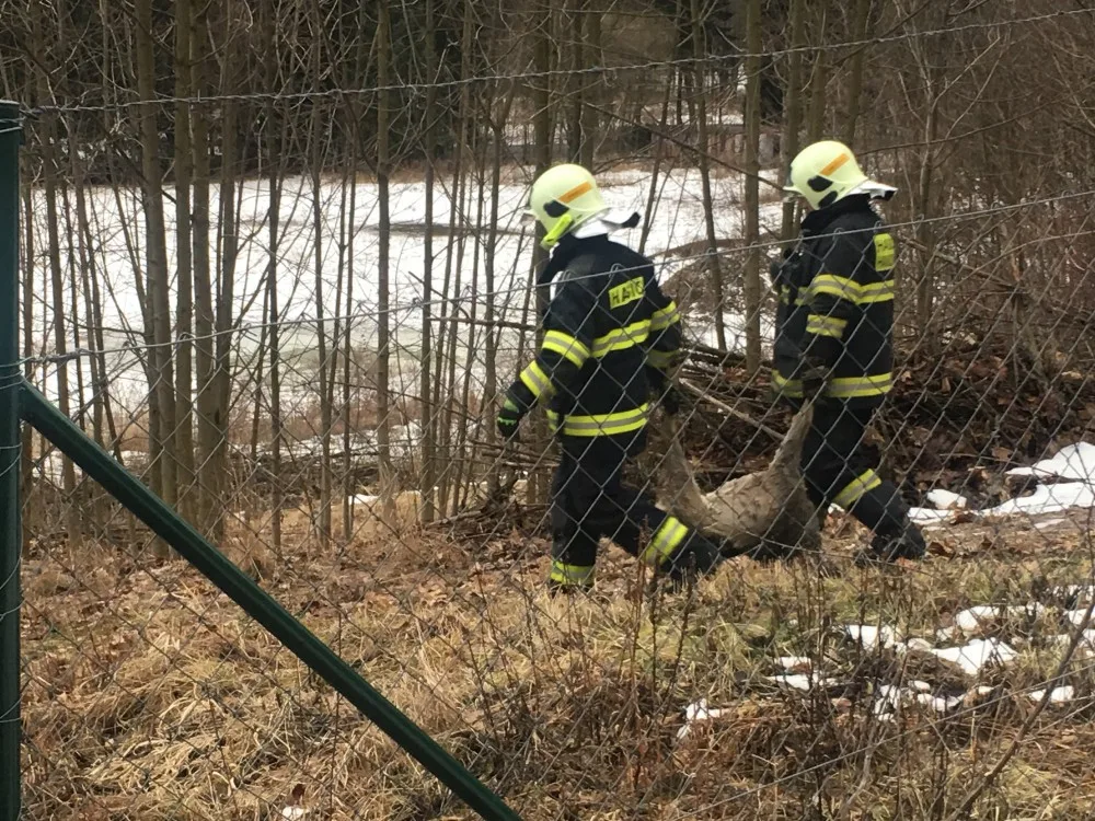 AKTUÁLNĚ: Kvůli silnému větru jsou v pohotovosti hasiči po celém kraji, zatím řešili 17 událostí