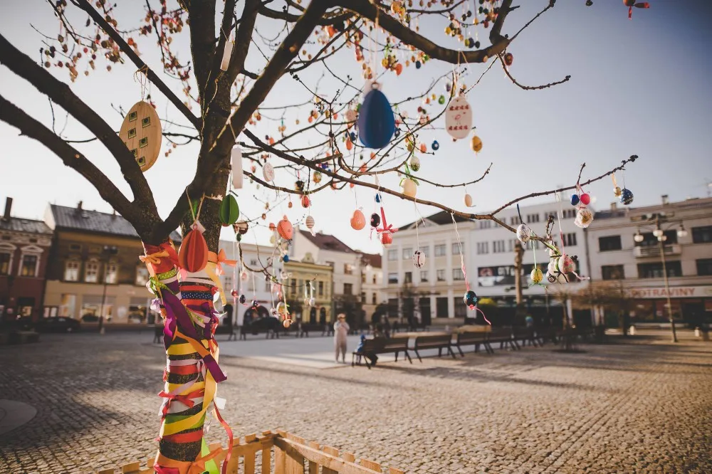 Kralicovník (Foto: Pavel Jakubka)