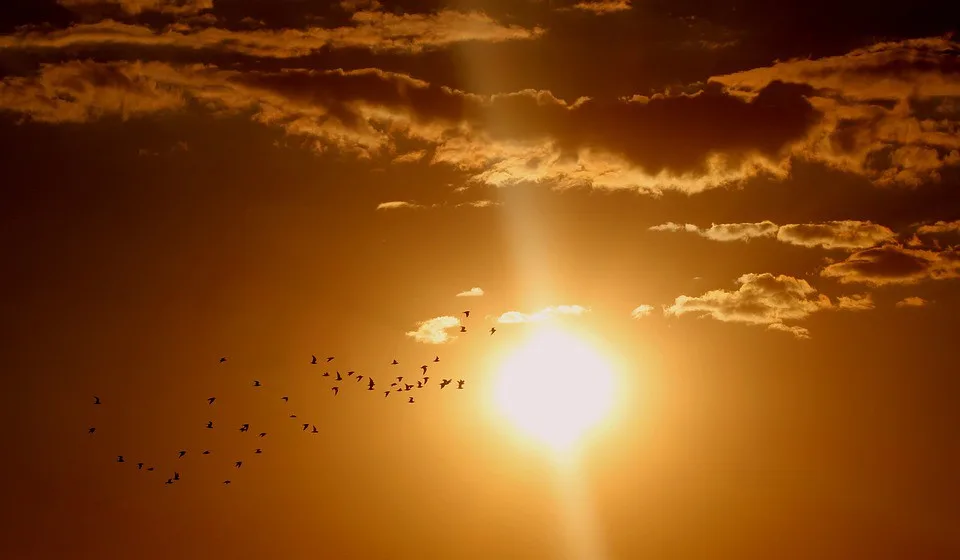 sunset-1625073_960_720
