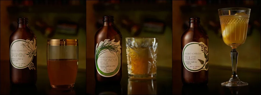 Kvašený nápoj kombucha – přírodní, povzbuzující, originální a hlavně olomoucký