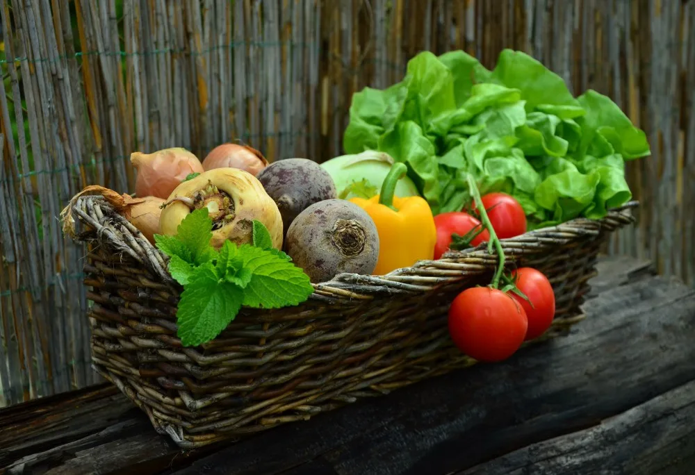 Zdravé jídlo, workshopy a koncerty. Nejen to nabídne veganský festival v Olomouci