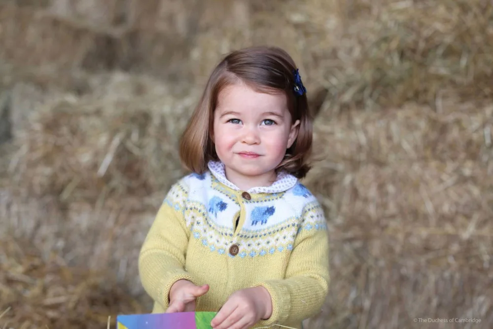 Princezna Charlotte dnes oslavila druhé narozeniny. Královská rodina zveřejnila její novou fotografii