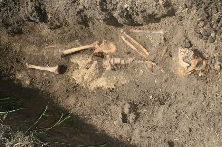 Na Prostějovsku byla nalezena kostra německého vojáka z války