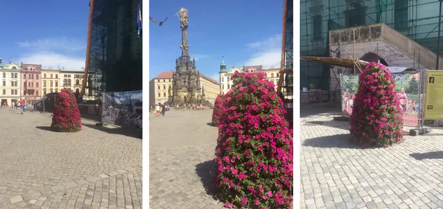 Centrum Olomouce ozdobily květinové pyramidy. Výzdoba zůstane až do podzimu