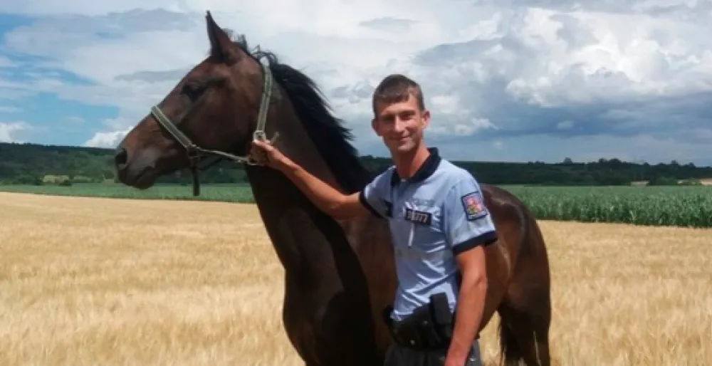 Policisté odchytávali v polích volně pobíhajícího koně, pak pátrali po jeho majiteli