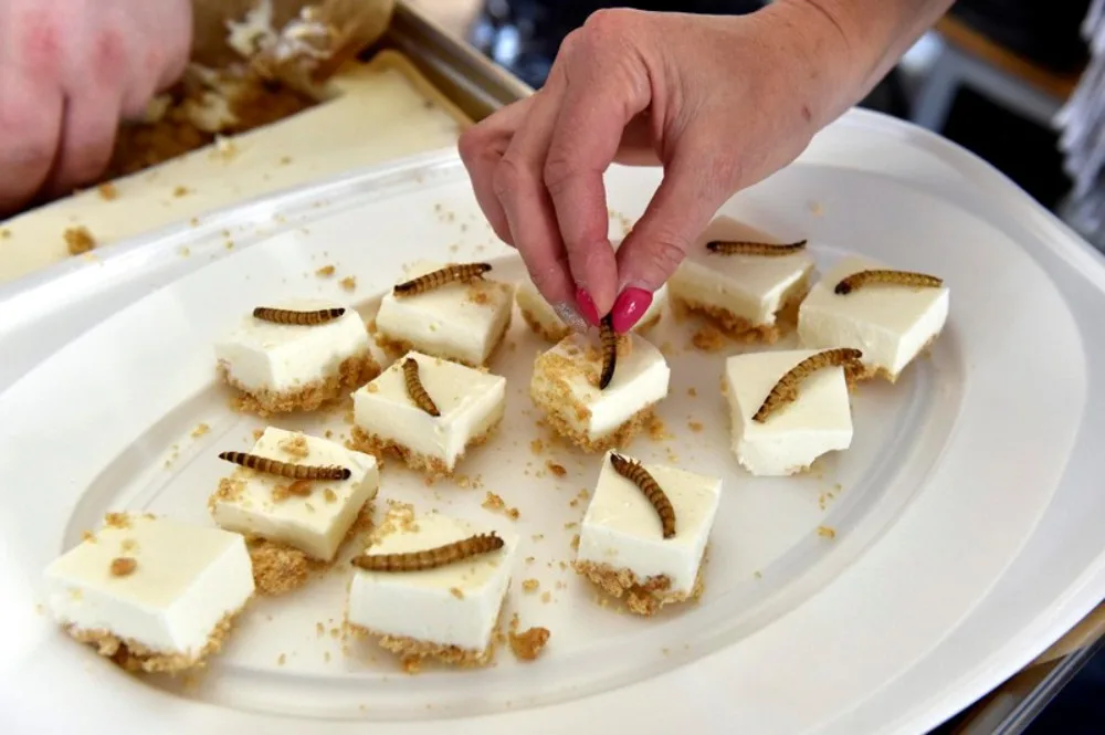 Extrem food festival hlásí druhý ročník. Ochutnáte zde cvrčky, žabí stehýnka, ale i běžná jídla