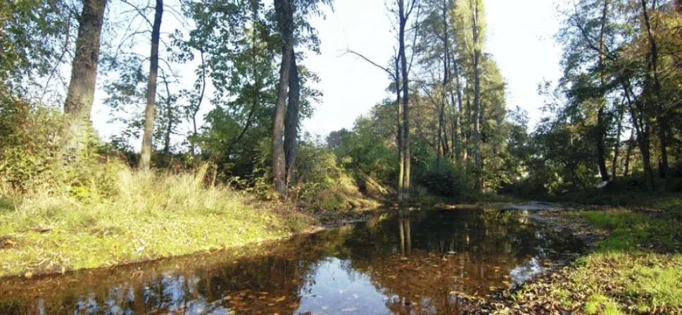 Biokoridor Hloučela