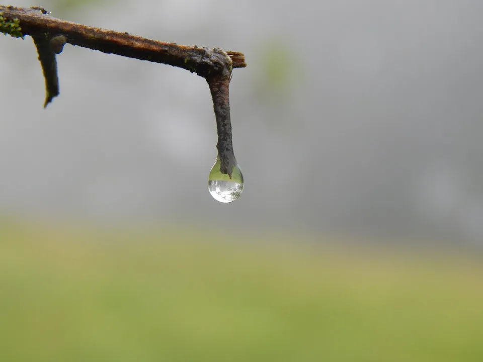 ilustrační fotografie