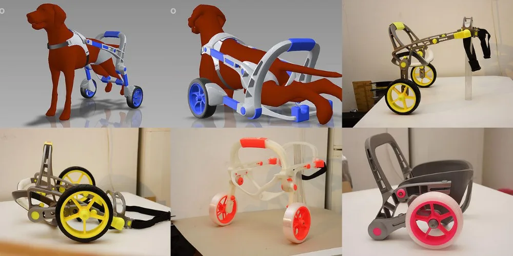 Český start-up AnyoneGo vyvíjí invalidní vozíky pro zvířata. Vyrábí je na míru ve 3D tiskárnách