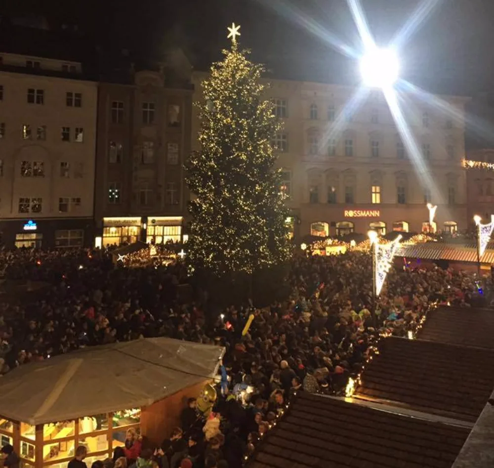 Vánoční strom, který bude stát na Horním náměstí, hledá opět jméno