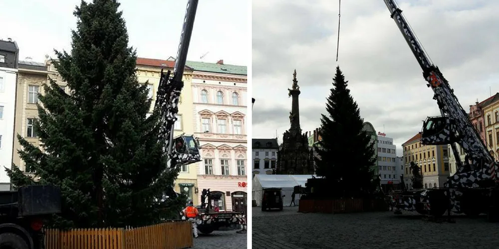 ANKETA: Horní náměstí už zdobí vánoční strom. Líbí se vám?