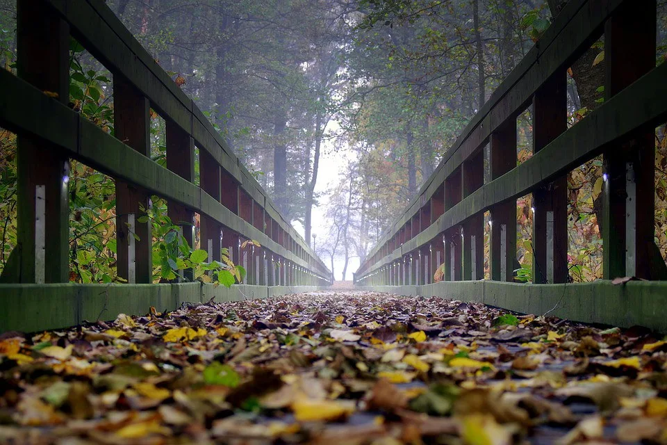 ilustrační fotografie