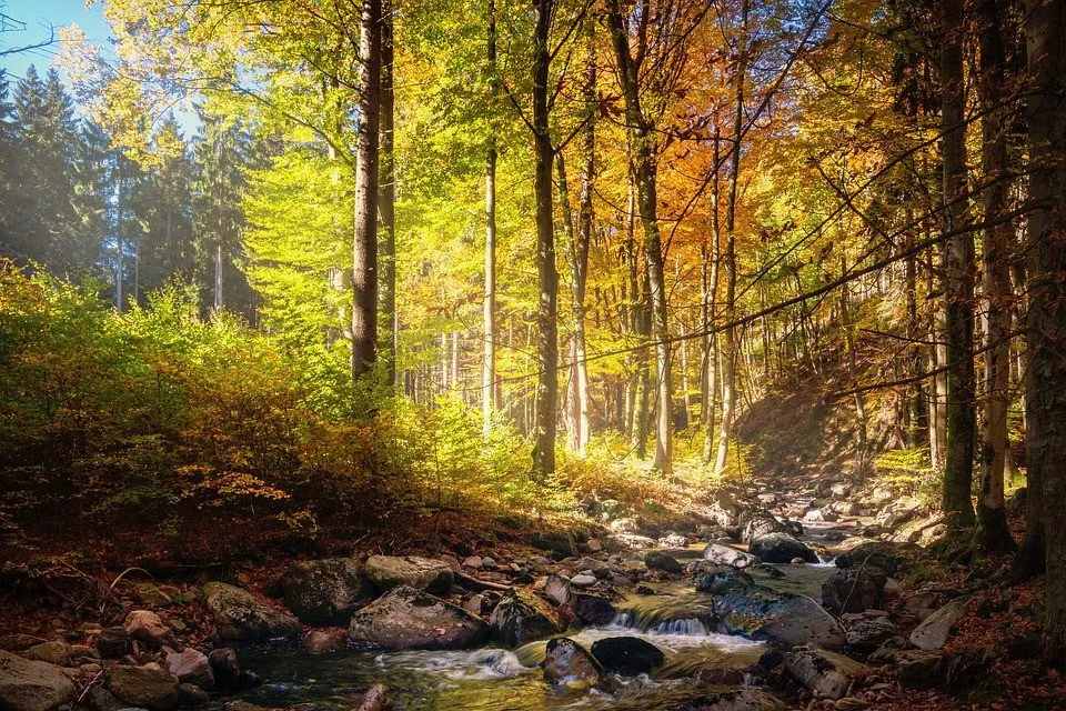 ilustrační fotografie