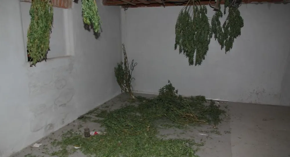 Policie dopadla pěstitele konopí, na případu pracovala několik měsíců