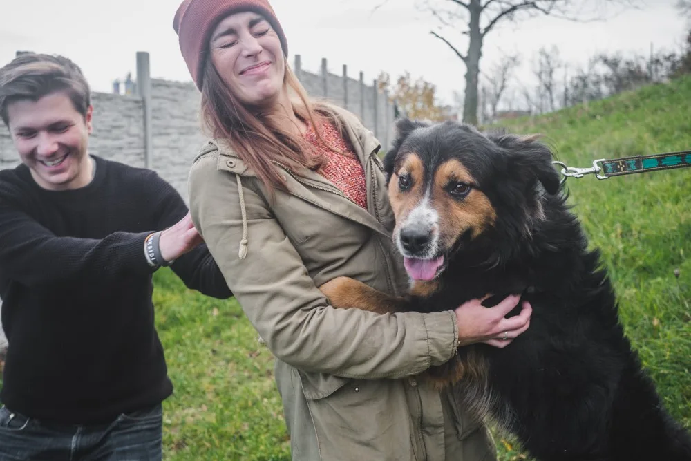 Olomoučtí dobrovolníci znovu pořádají sbírku Šťastné a Chlupaté. Udělejte psům v útulku hezké Vánoce
