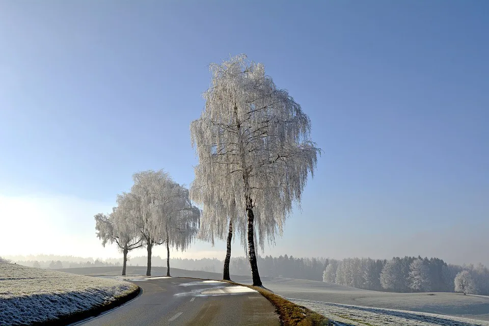 ilustrační fotografie